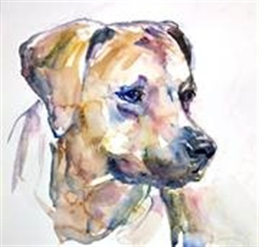 Dee Jackson, Bella, Watercolour on paper