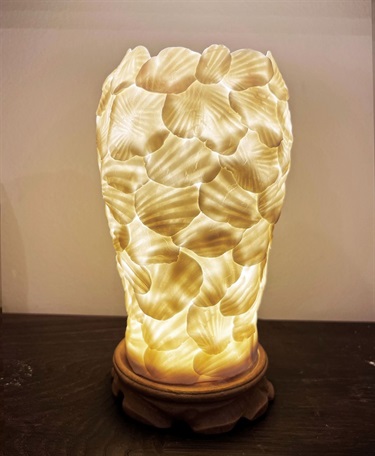 Angela Thomas, Seashell illumination