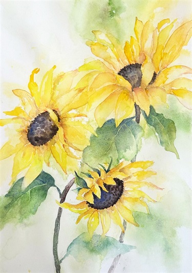 Lily Lockwood, Sun flower bloom