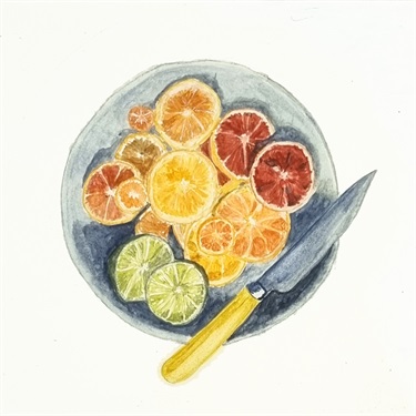 Barbara Judson, Citrus, watercolour