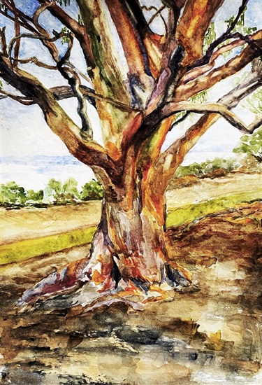 Isabel Pantalone, Tree in Colours, watercolour