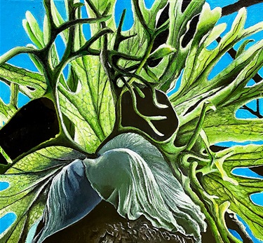 Claire Hopkinson, Fern Fantasy