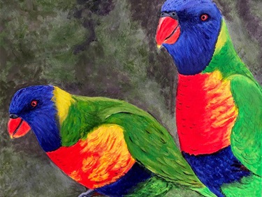 Tricia Waters, Lorikeets