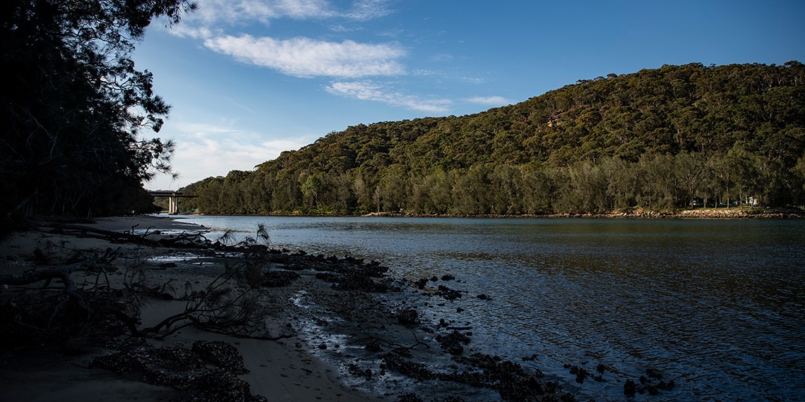 Two Creek track leading to Echo Point Beach