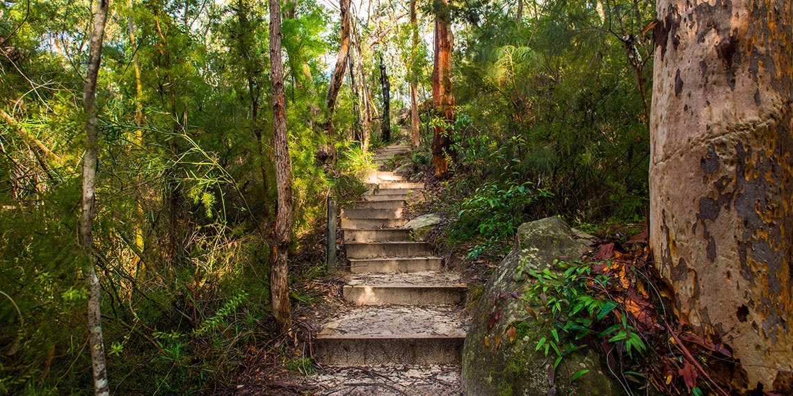 STEP Track