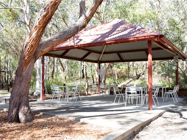 Dampier's Clearing Picnic Area