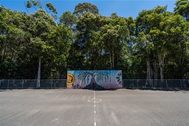 Allan Small Park hitting wall