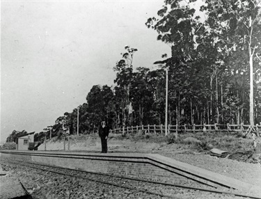 Killara Railways Station 1900 SRNSW State Rail Authority Collection