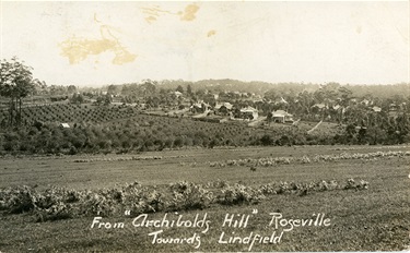 Roseville looking towards Lindfield 1907