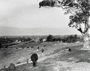 Pymble ca.1917