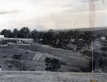 View of Grandview St, Pymble 1927
