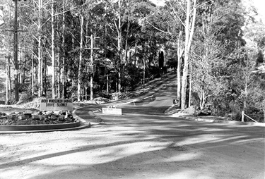 Pentecost Ave, Pymble ca.1950