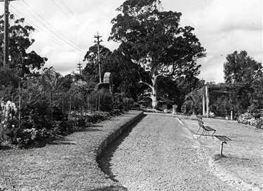 Pymble Soldiers Memorial Park 2002 Park was opened 9 March 1929