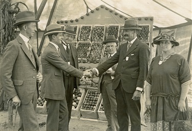 St Ives Show ca.1924  Mr Richard Shinfield, a local orchardist, won the prize for the best table of fruit at the show