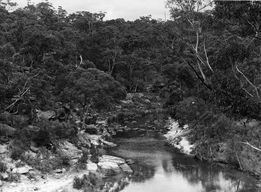 Scene of crossing Philip's Camp  NSW Government Printer's Collection SLNSW
