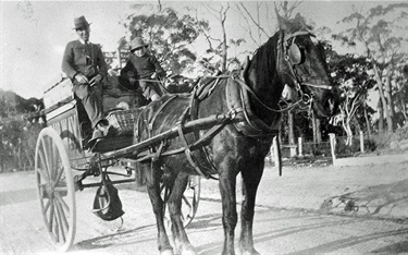 Bread delivery cart and horse ca.1920