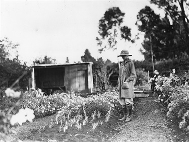 V.A.D. nursery Turramura ca.1918  Ku-ring-gai Chase Ave, Turramurra