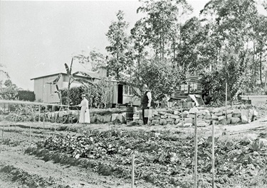 Vegetable garden, Turramurra 1915