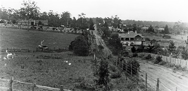 Cherry Lane, Turramurra 1900  State Records NSW State Rail Authority Collection