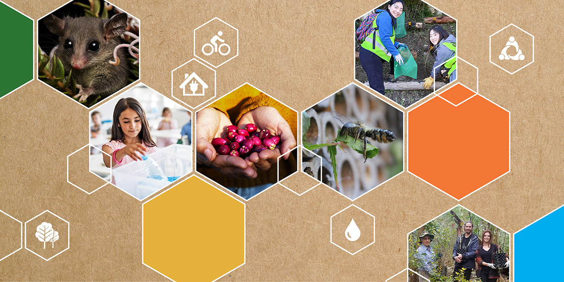 environmental levy grants 2021