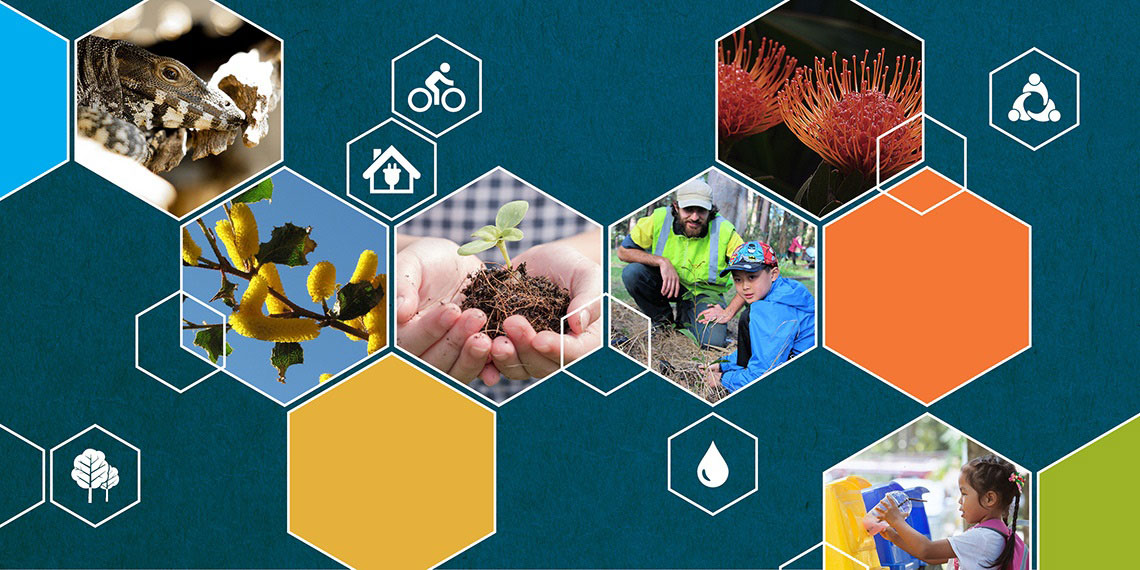 environmental levy grants 2022