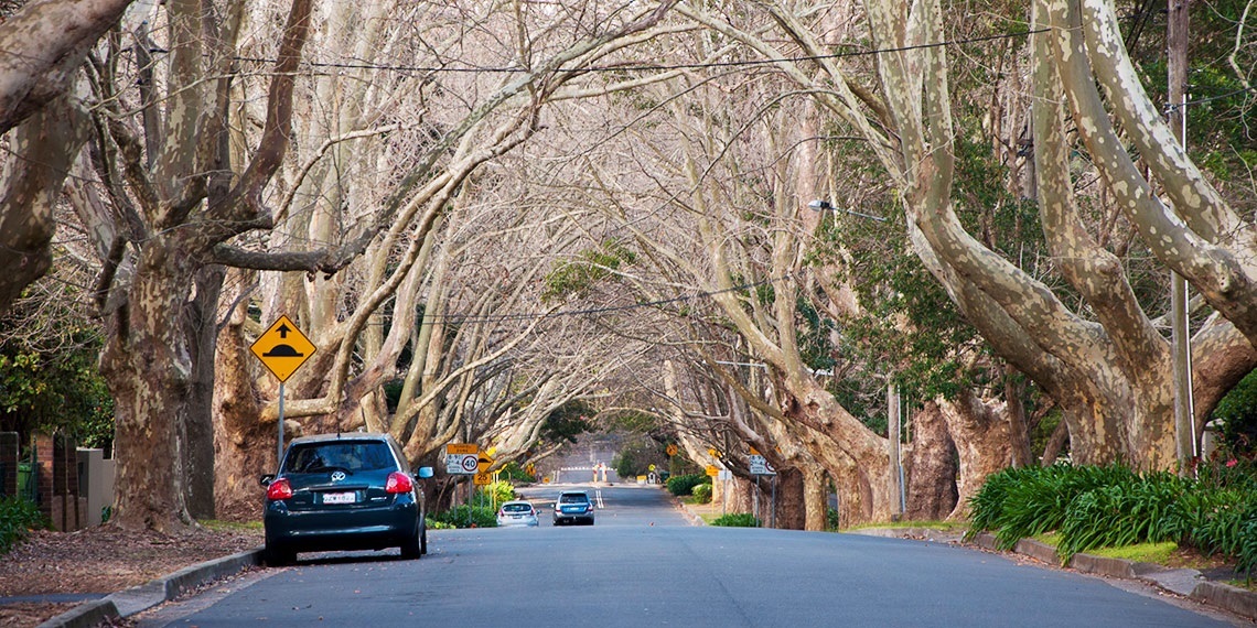 Burns Road, Wahroonga by Fred Fatakia