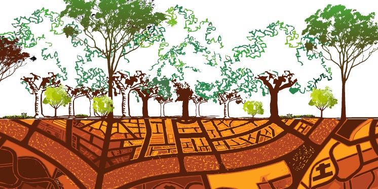 urban forest