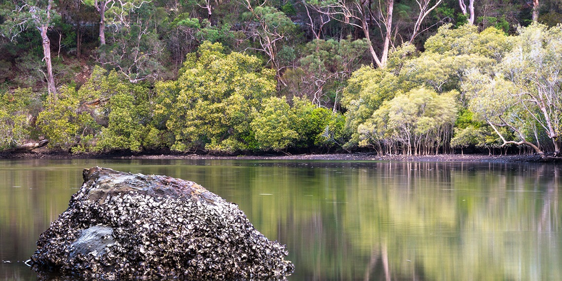 waterways and catchments