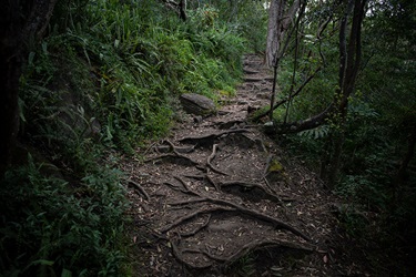 Echo Point Park