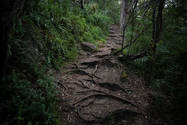 Echo Point Park