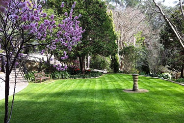 Upper garden (wedding lawn)