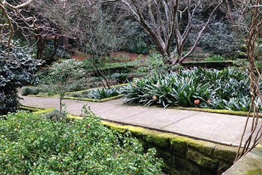 Swain Gardens