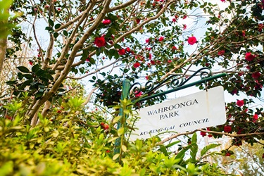 Wahroonga Park