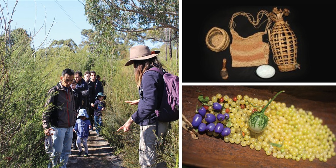 AHO Guided Walk