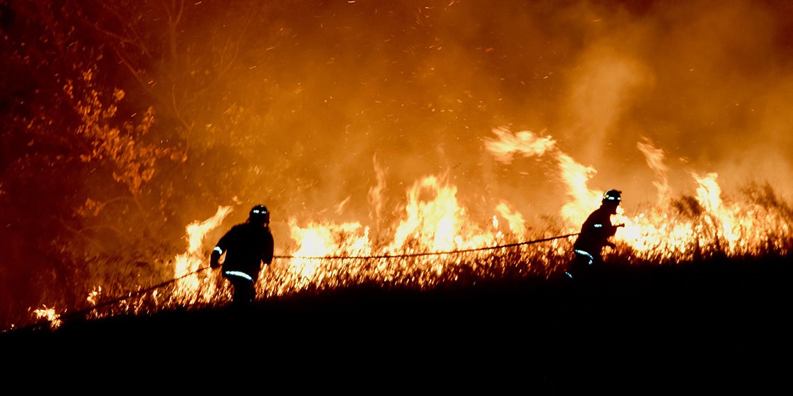 Bushfire-Expo2025