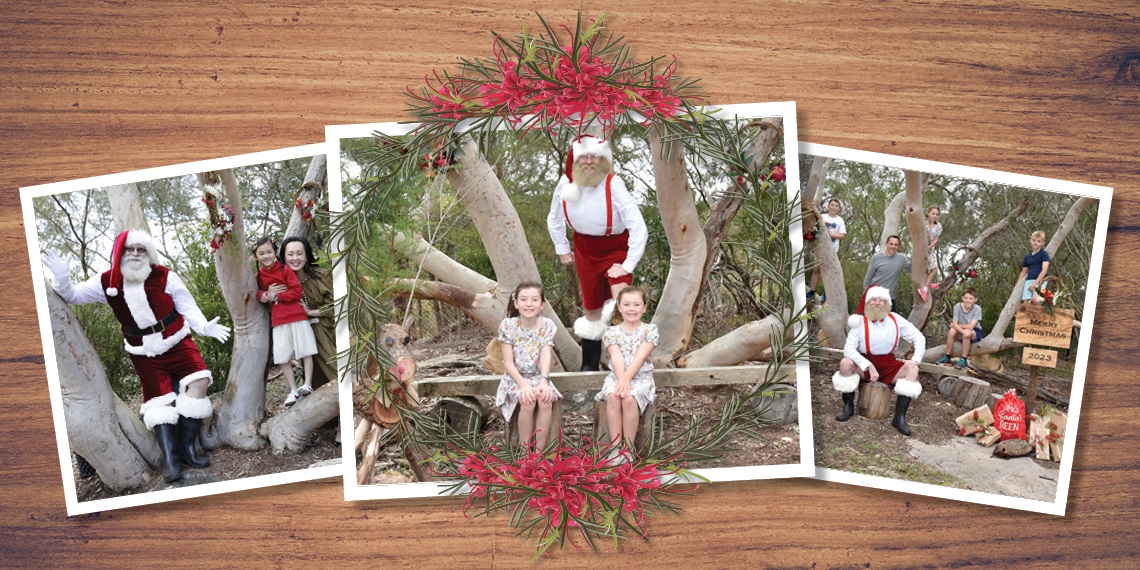 Santa in the Garden