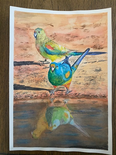 Jane Gough, Pretty Parrots