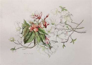 Rhonda Maltby, Japanese Cherry Blossoms