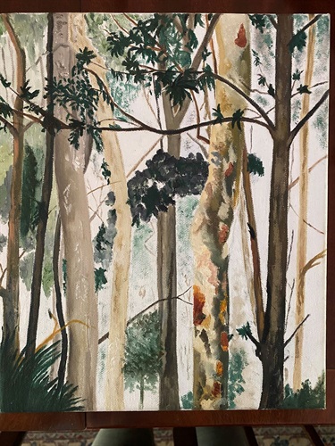 Amanda Johnson, Snow Gums