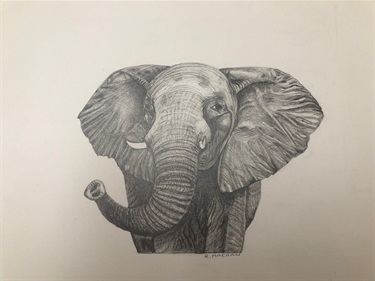 Rosemarie Machan, Elephant