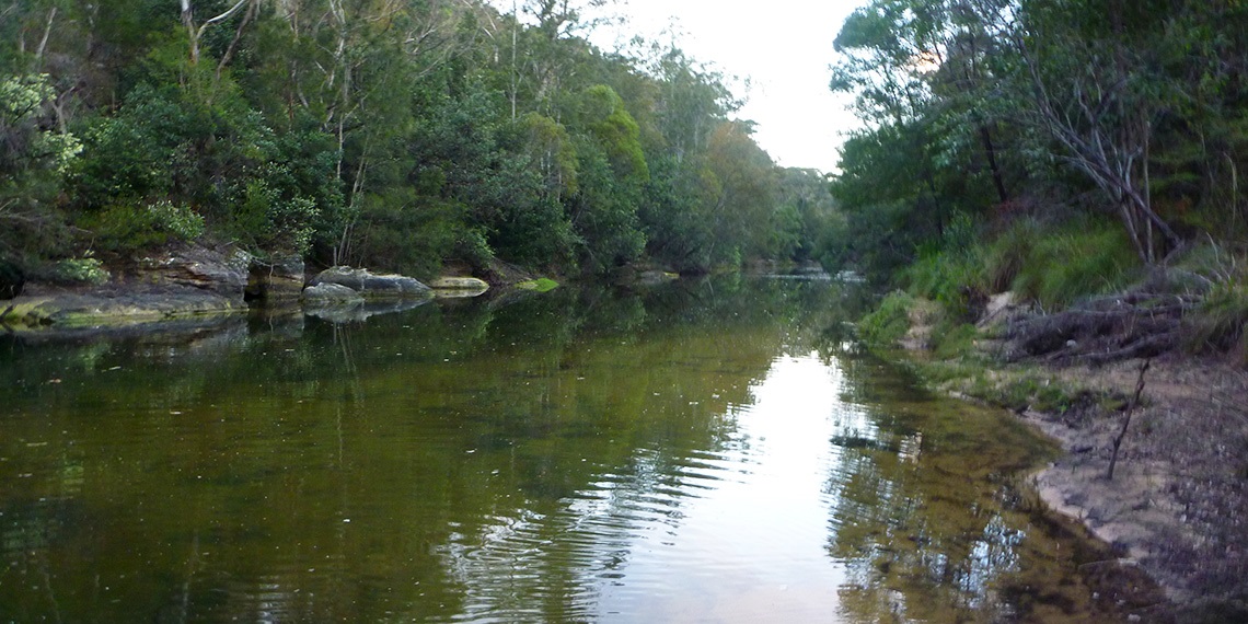 Top of the Middle Bungaroo track