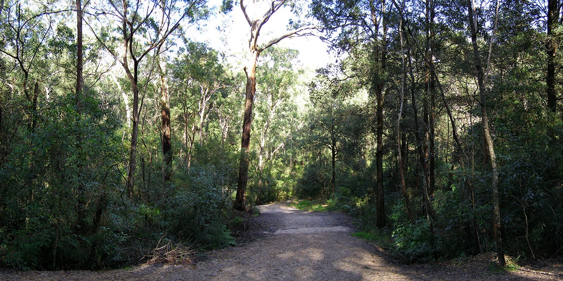 Blackbutt Creek