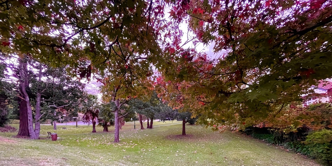 Abbotsholme Glen