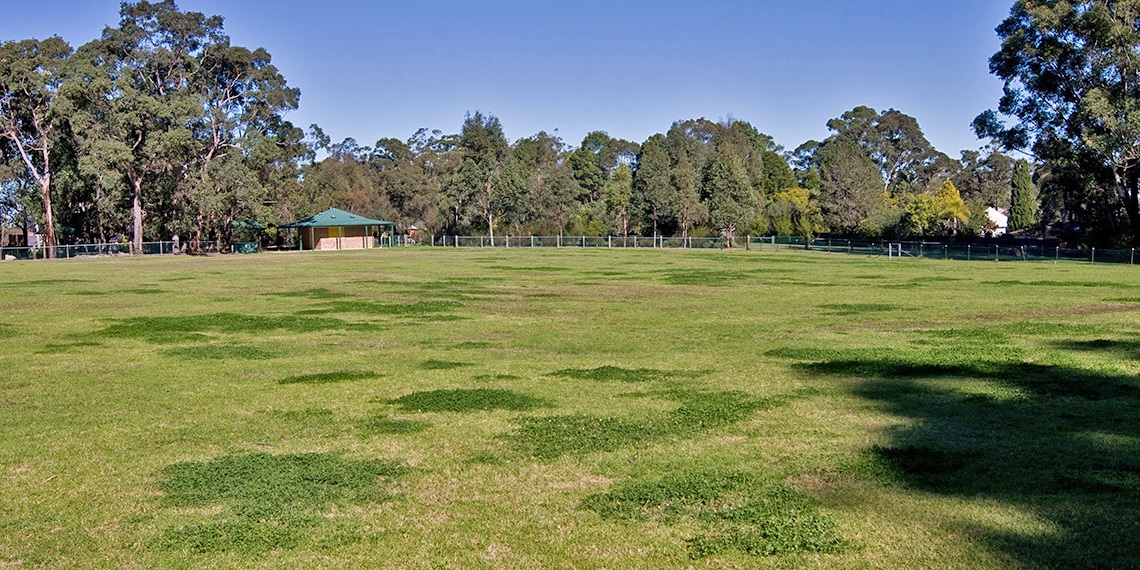 Auluba Sportsground Oval 3