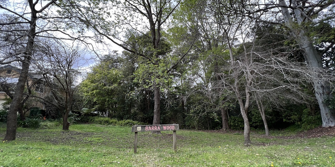 barra wood