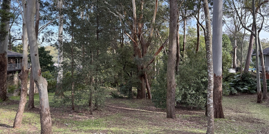 Elvenholme Wood