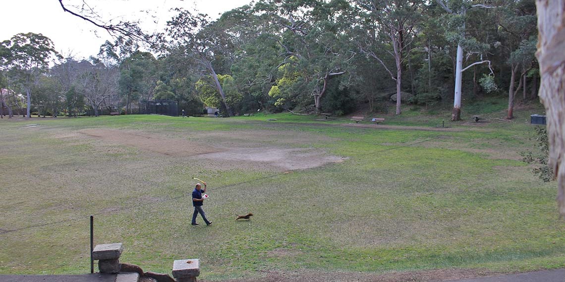 Loyal Henry Park
