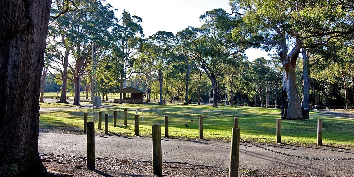 St Ives Showground Events Area