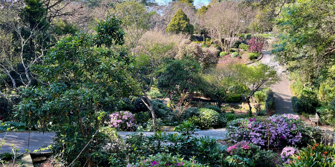 Swain Gardens open day