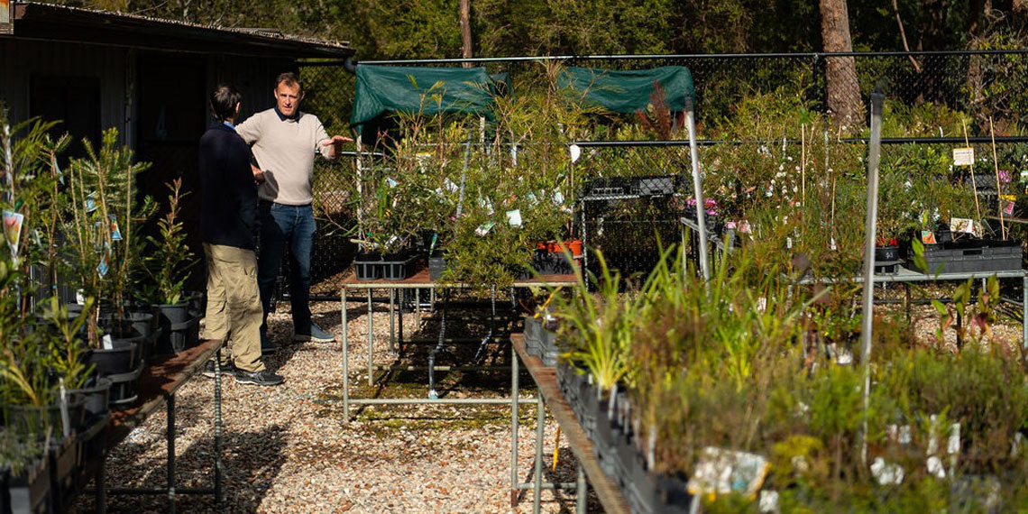 wildflower-nursery